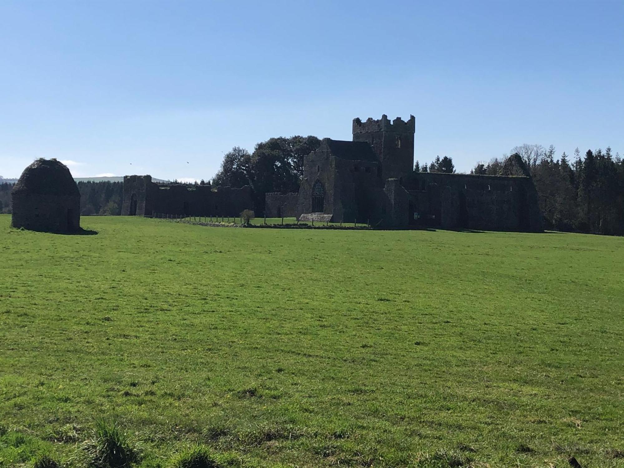 The Lodge - Rural Tipperary Bordering Kilkenny Ballingarry  Zewnętrze zdjęcie